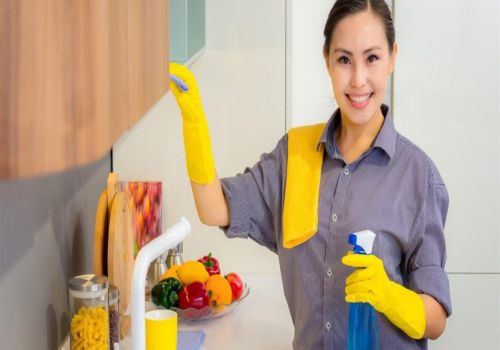 شغالات بالشهر جده السليمانية